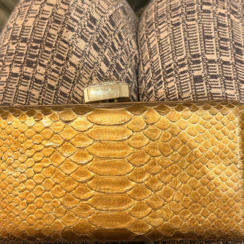 Oscar de la Renta Python Box Clutch - Picture 10 of 11
